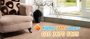 Carpet cleaning in Kingston